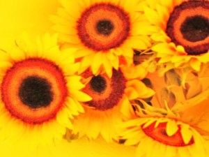 Las almas gemelas de Josan Caballero