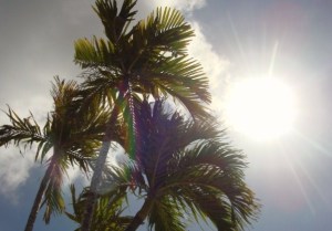 "Quién dice que no hay vida detrás del interior?", nos dice Josan Caballero en un poema memorable de EL ANGEL DESERTOR.