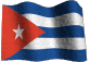 Ondeando la Bandera Cubana, como un Papalote de la Libertad.