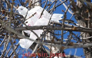 La libertad como una paloma bolsa atrapada en el árbol...Margarita García Alonso.