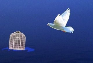 LA PALOMA CUBANA DE LA LIBERTAD.