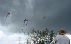 Los Papalotes Banderas vuelan libres en el cielo gris o azul, con hilos tan sensibles...Josán Caballero.