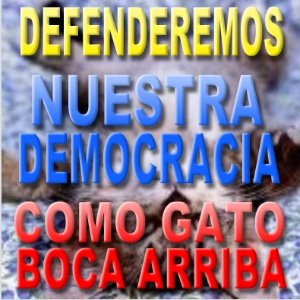 VENEZUELA DEFIENDE SU DEMOCRACIA...