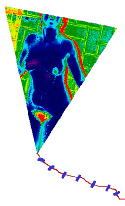 Papalote Bandera de Armienne López, realizado en parte por Ignacio Granados.