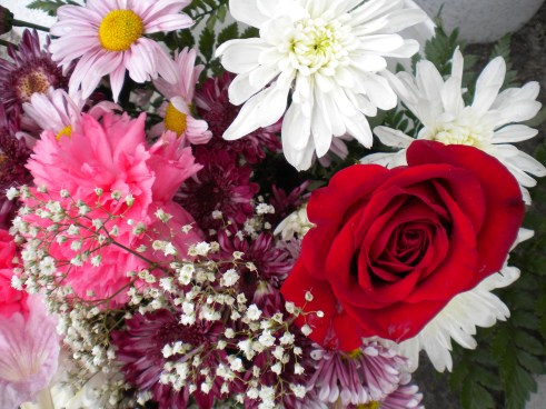 Flores para las Madres del Mundo. Foto de Josán Caballero.