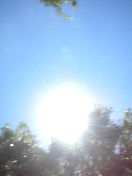 El sol de Miami se confabuló con los organizadores y participantes, para que esta Caravana fuera impresionante en relación con el caluroso ambiente y la euforia de más de un centenar de asistentes a esta inusual Marcha por la Libertad de Cuba