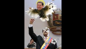 maduro_pajarito-6t