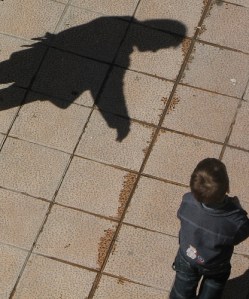 441895255_a403e14dae