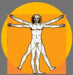 243px-300px-Da_Vinci_Vitruve_Luc_Viatour