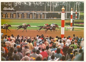 4249382812_dc707d7d69_z