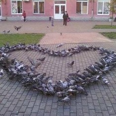 580231_547549065283216_1709726411_n