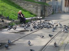 am_79226_2388974_978154