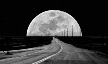 tumblr_lxhth9js0k1qi23vmo1_500