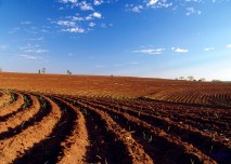 arar-sin-mirar-hacia-atrc3a1s