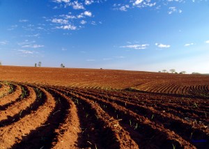 arar-sin-mirar-hacia-atrc3a1s