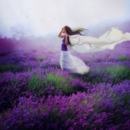 lavender_by_elaisse-d5rhttf