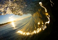 t_squat_art_008_large