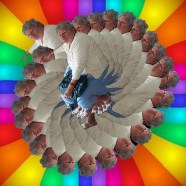 caleidoscopiomartharcoirisolo