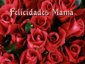 Dia-de-las-madres