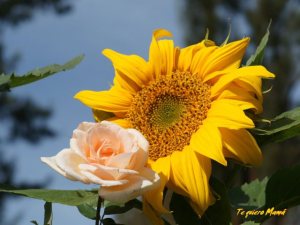 Fondo de pantalla - dia de la madre