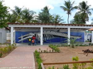 3940475215_d008e16312_b