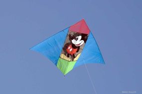 025_7896wChinese_Kite