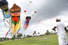 Randy19 Kite New hmg