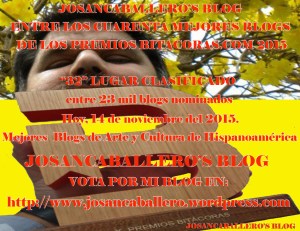 JosanenBitacoras2015final