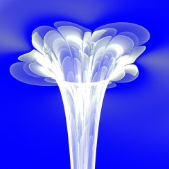 cultivo_una_rosa_blanca____by_mario837-d4m1d4h