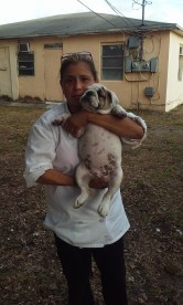 13138985_1134708253247864_3211232905007424815_n