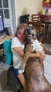 13164198_1139646489420707_8665174170791742160_n